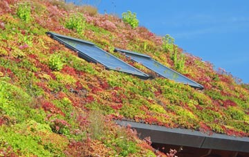 Bewbush living roof systems